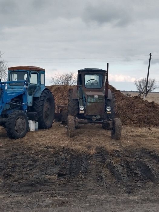 Продам трактора 2 штуки