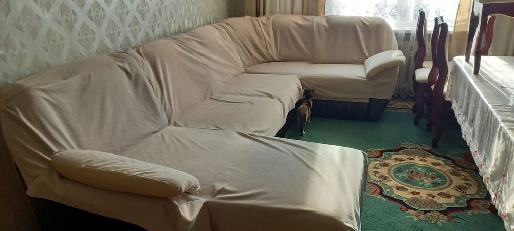 Мебель раскладной, гостевой диван