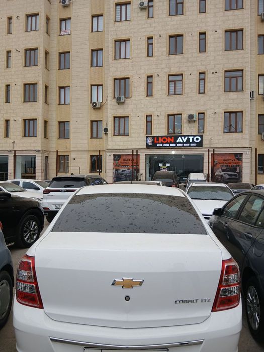 Кобальт 2023 йил 4-поз