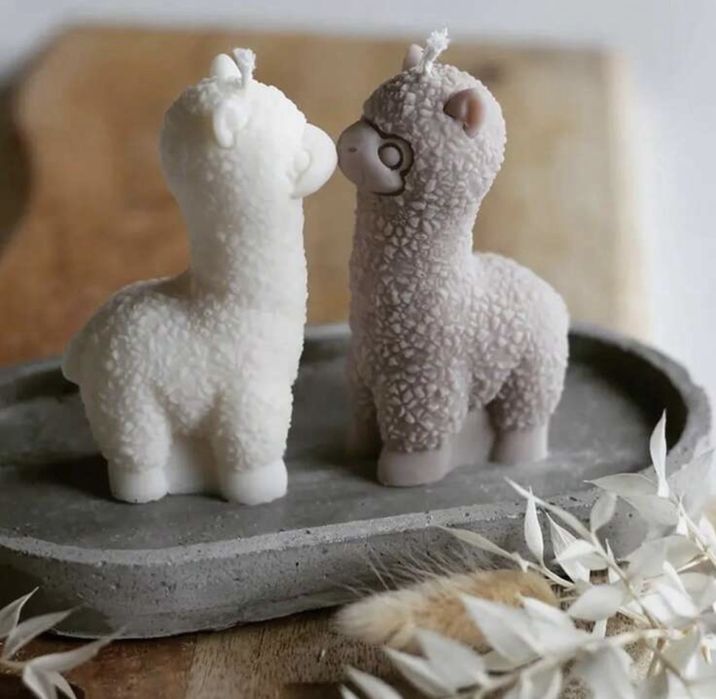 Marturii botez / nunta