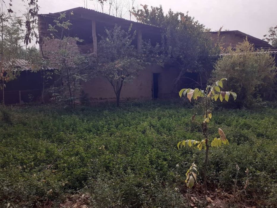 Yer sotiladi 7 yoki 8 sotok (Shurchi shahhri, Paxtakor berk ko’chasi)