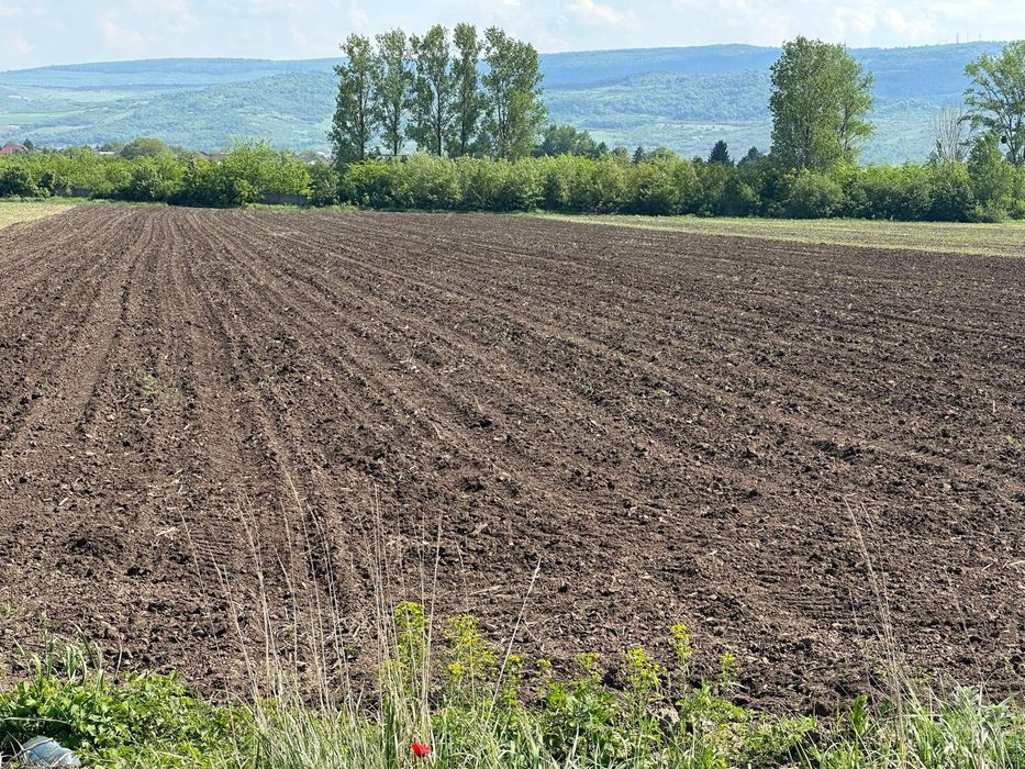 Teren Dancu deschidere la  aleea betonata