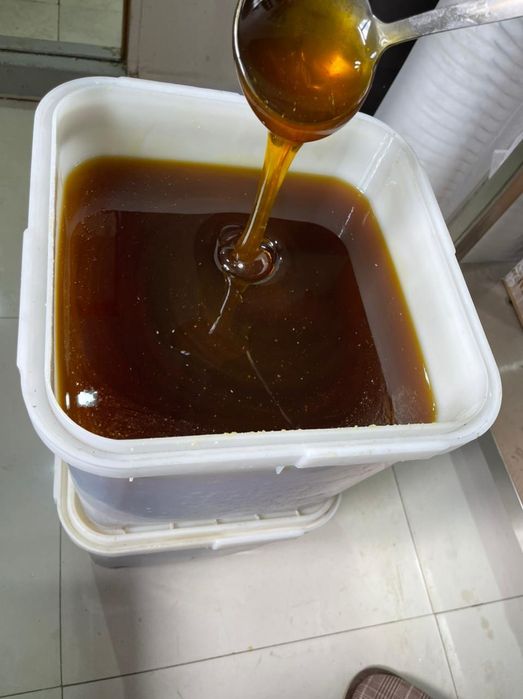 Мёд Восточно-Казахстанский