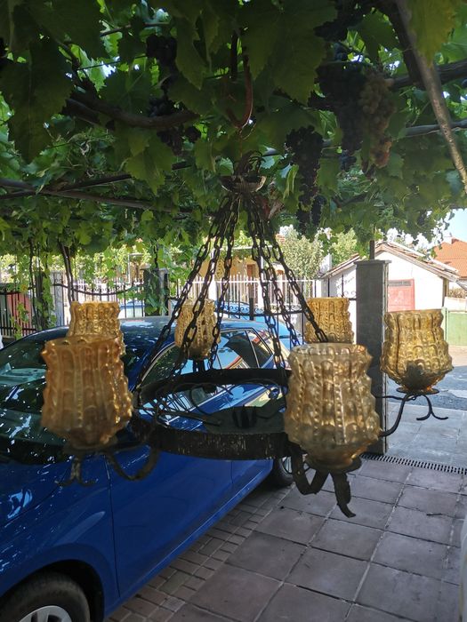 Полилей от кована мед