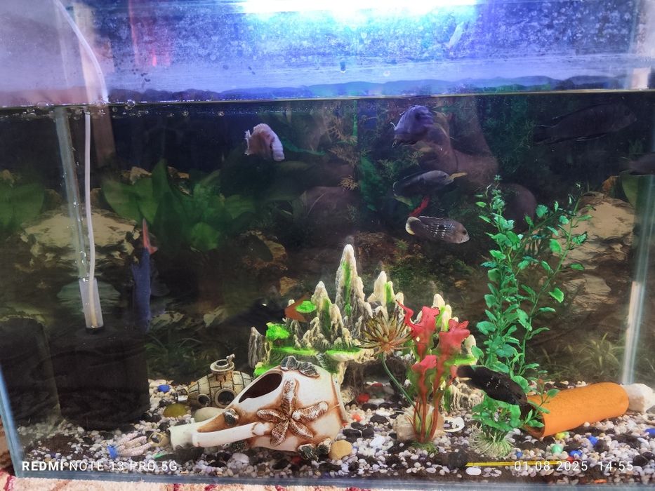 Аквариум на 80 литров