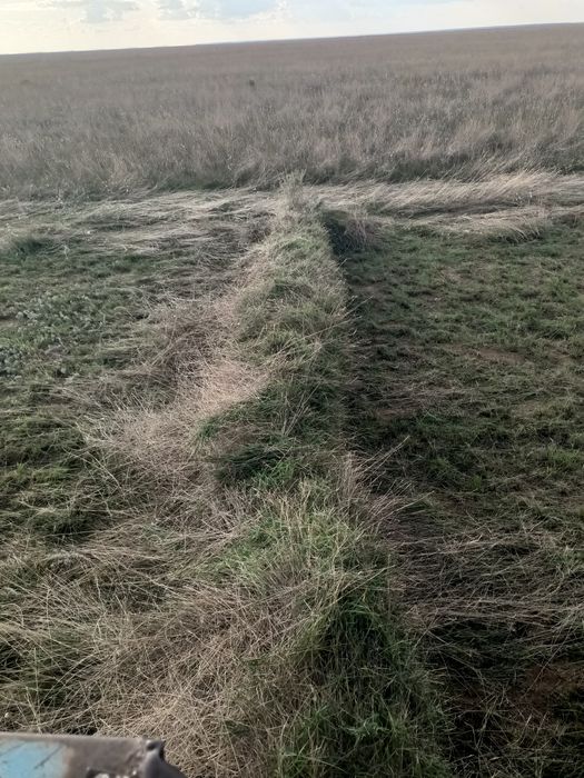 Продам сено житняк