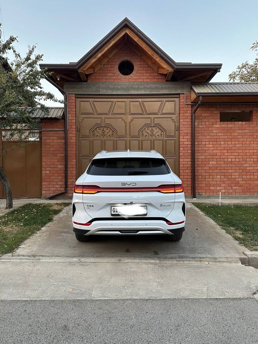 BYD chempion EV 2024