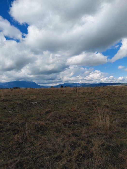 Teren extravilan – 1 ha – Glăjerie, Râșnov, Jud. Brașov