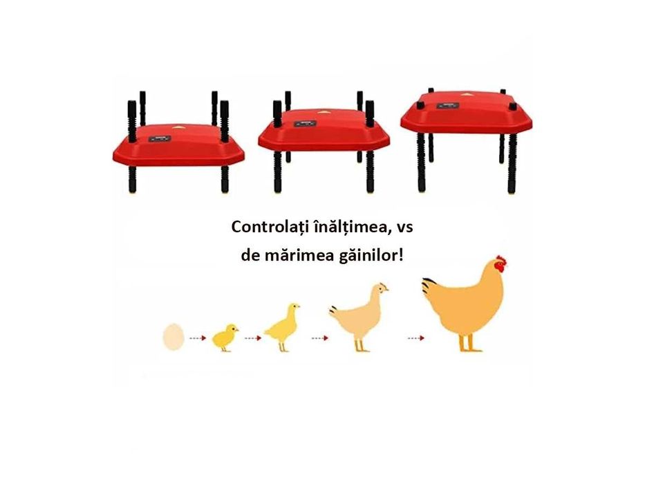 Încălzitor brooder pui cu LED, control temperatură 30 pui 16x16 inch