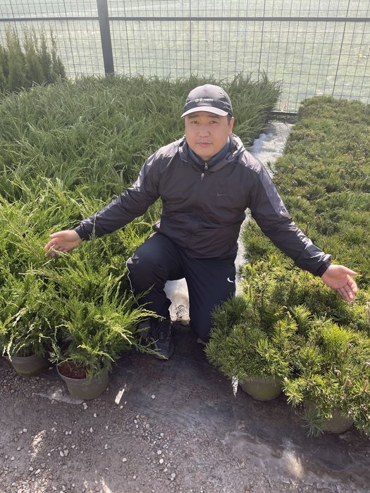 Декоративные растения