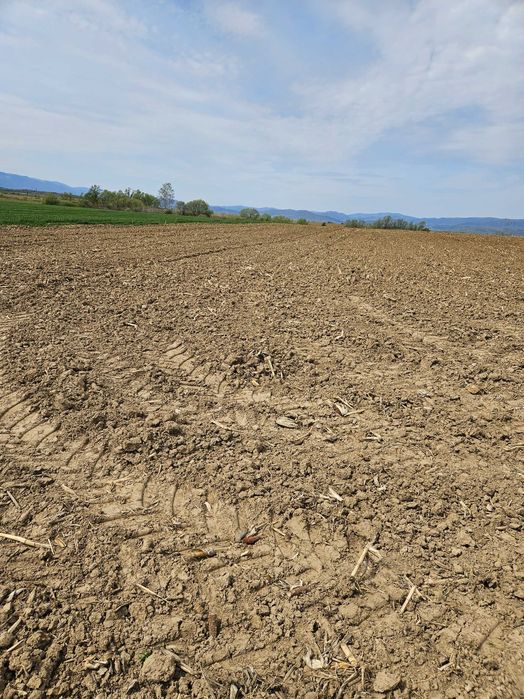 Vanzare teren agricol extravilan