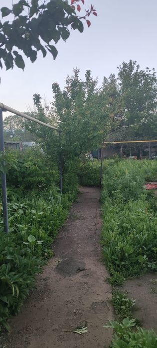 Продам дачный участок