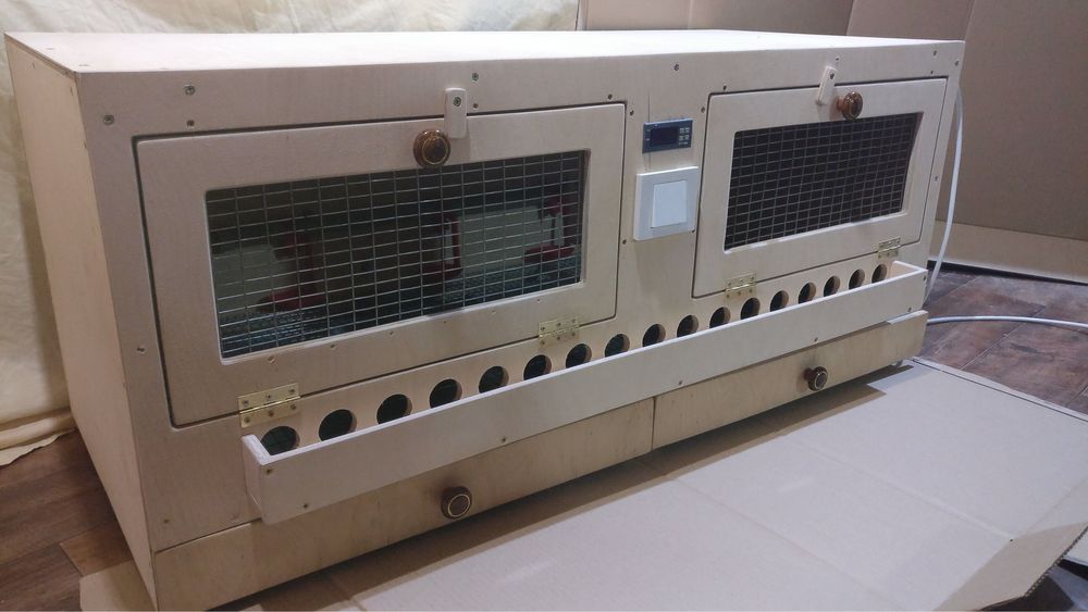 Брудеры для выращивания цыплят