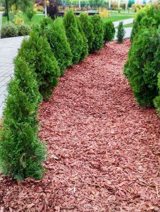 Мульча из лиственницы — защита и красота вашего сада