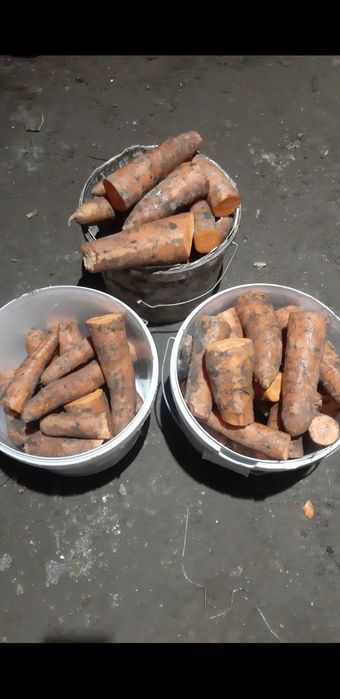 Продам морковь .