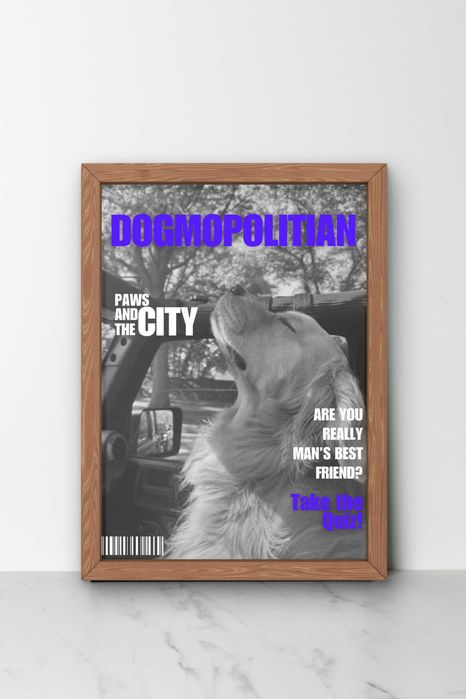 Списание В Рамка - Картина на твоят домашен любимец