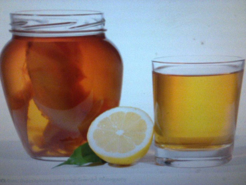 Чайный гриб. Комбуче