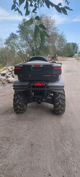 Продам arctic cat