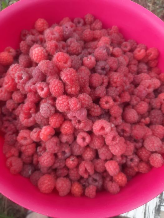 Продам дом в село Коянды