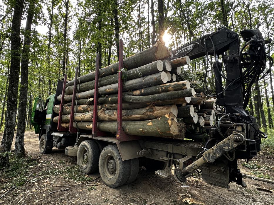 Lemne de foc FAG salcam CARPEN stejar