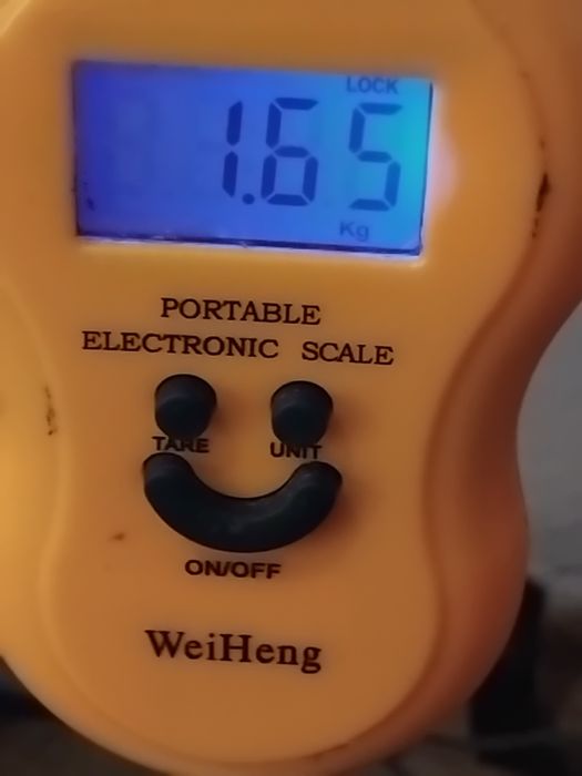 продават се сребро и посребрени съдове