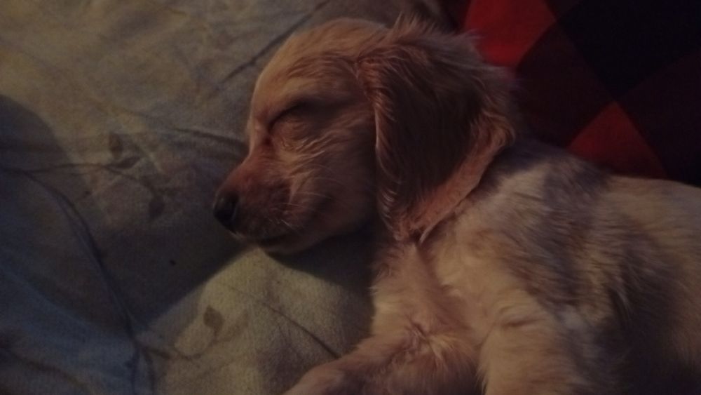 ЛЮДИ ДОБРЫЕ помогите