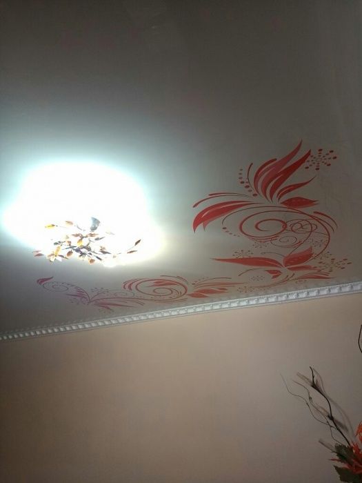 Гостиница Лидер.