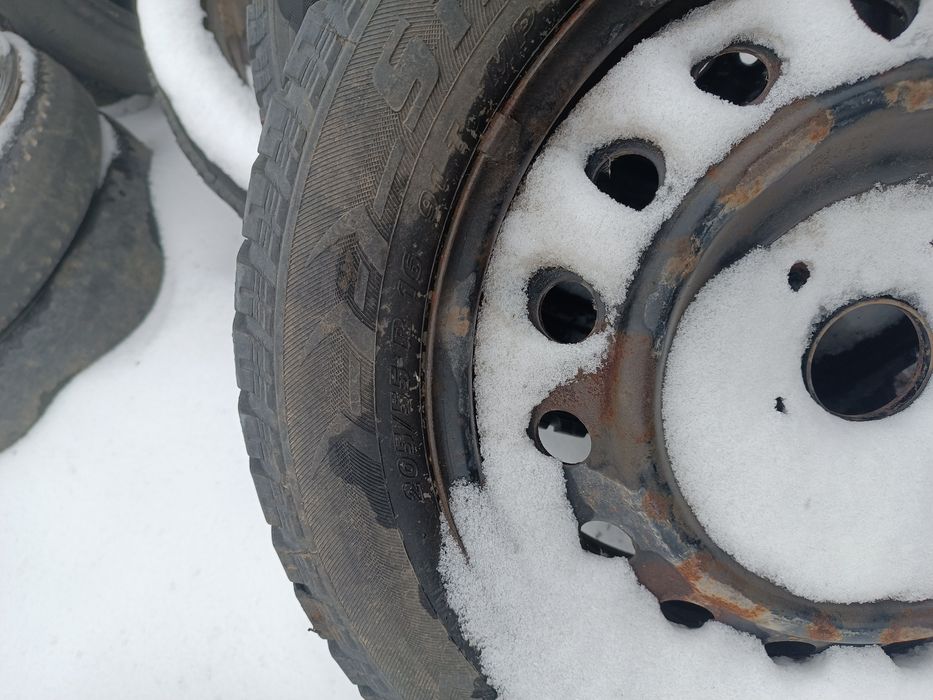 Резина на 16 205на55