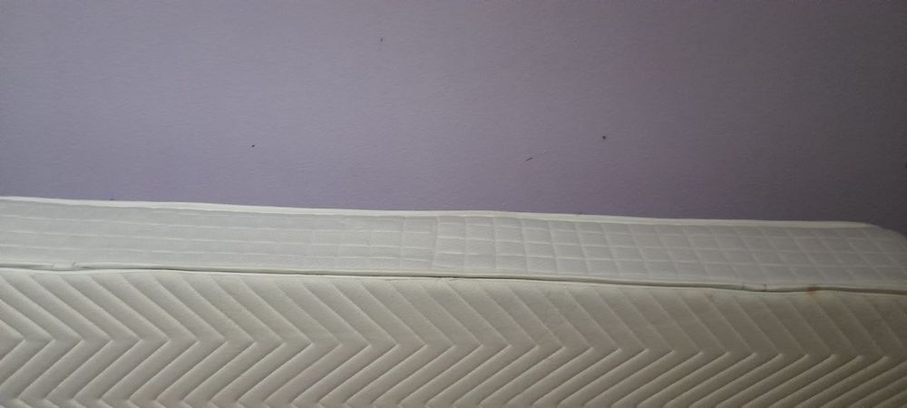 Мебэл диван темирдан