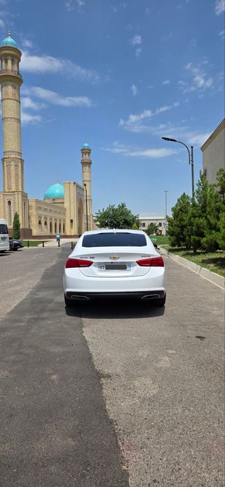 Malibu Malibu 2 turbo ozimizniki, Малибу Малибу 2 турбо узимизники