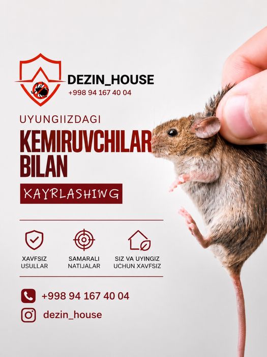 Dezinfeksiya Dezinseksiya Deratizatsiya