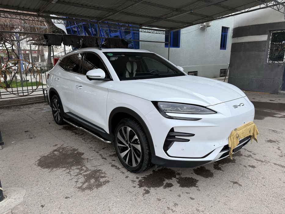 BYD CHampion 2024 Honor