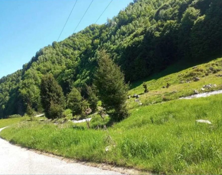 Teren PREMIUM 3000 mp Râușor – lângă pârtia de schi | Investiție turistică de top
