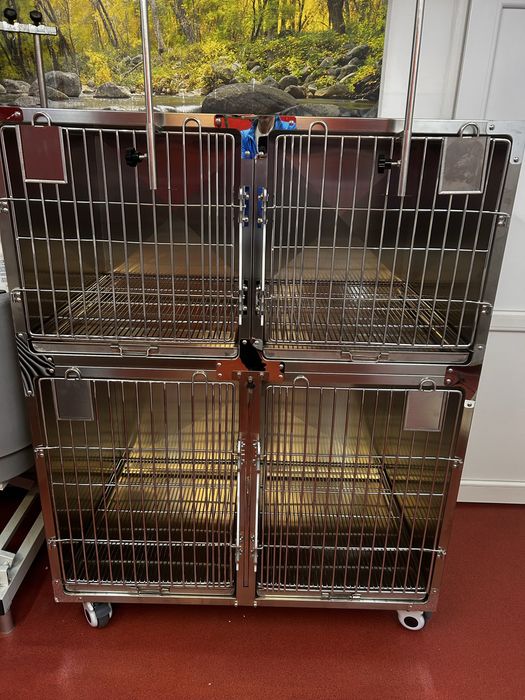 Cusca internare caini pisici din inox