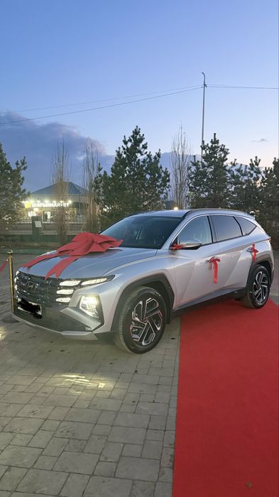 Аренда большого банта на машину