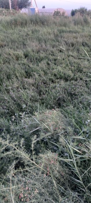 Йер сотилади 18000