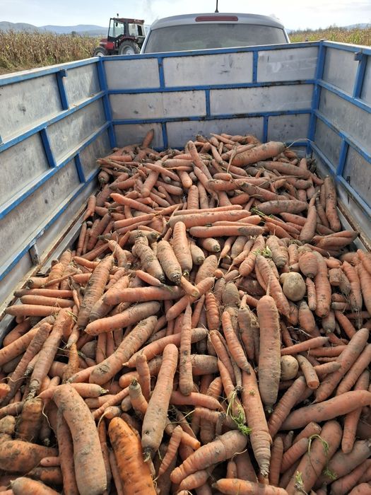 Marcovi prospeti pt consum 3 lei/kg