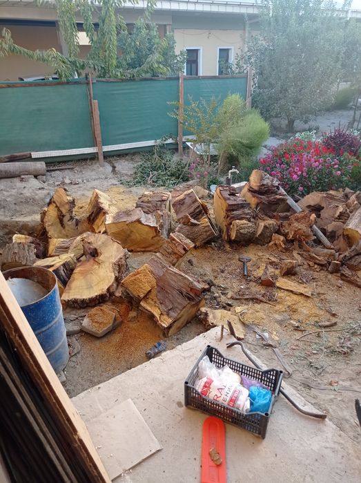 Бензопила хизмати