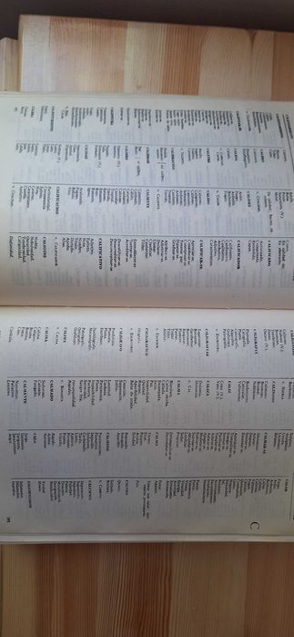 Испански синонимен и антонимен речник 1150 страници