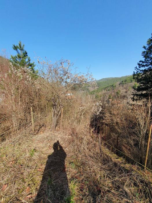 Цяла самостоятелна Къща с двор в с. Луково