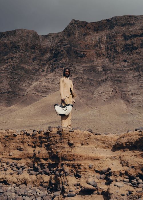 Голяма дамска чанта Polene