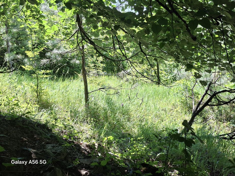 Продава се Къща в с. Гара Лакатник, Област София-област - 30 кв.м за 834 €/кв.м - Снимка #23