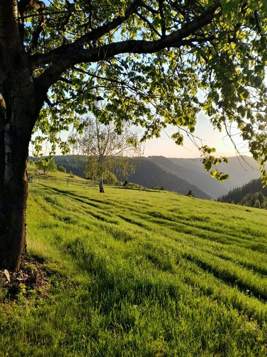 Vând teren în Maguri, județul Cluj