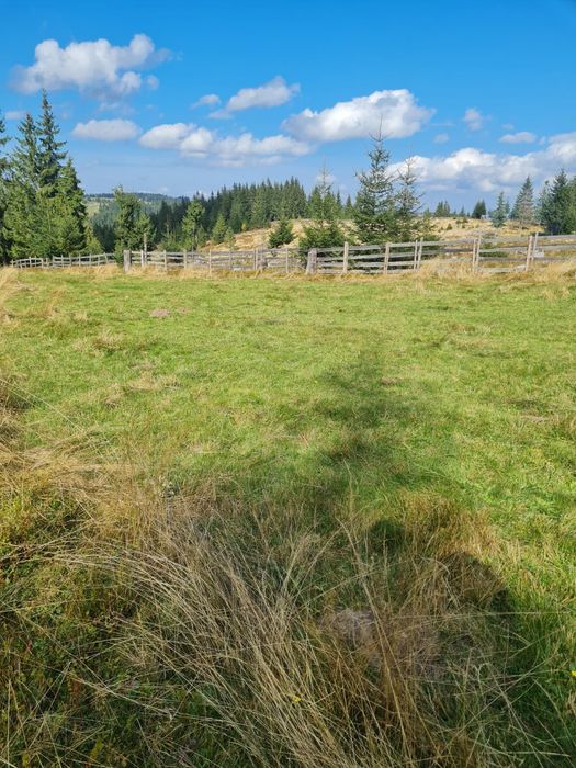 Teren de vânzare Maguri jud Cluj