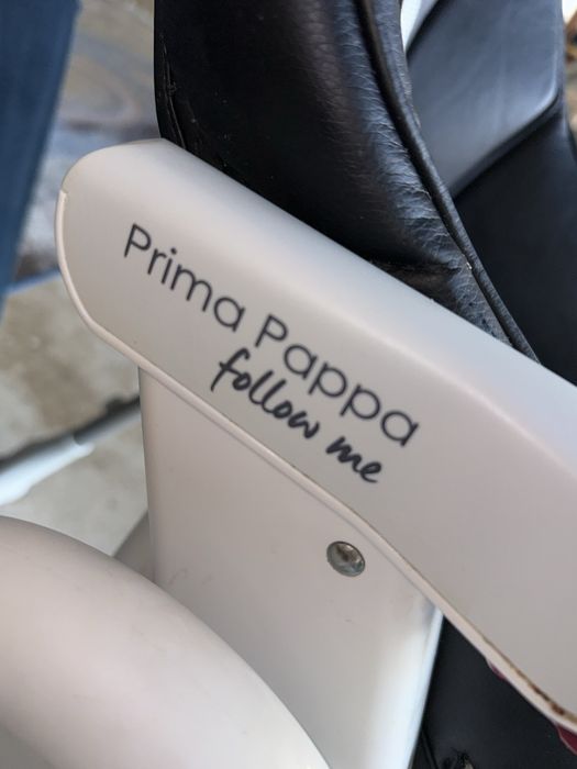Scaun masa bebe Peg Perego Prima Pappa Follow Me