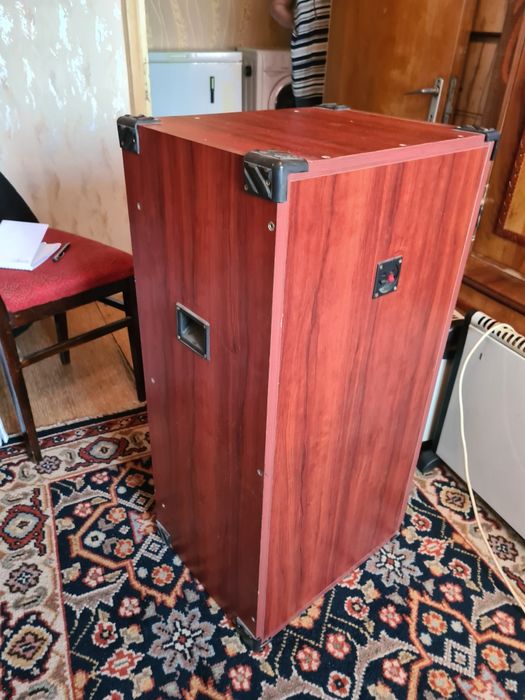 Vând boxă profesionala