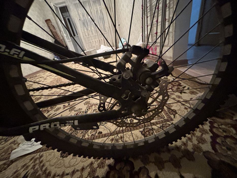 Pro fi велик жаксы багада