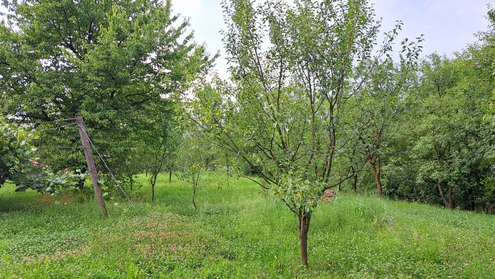 CASĂ DE VÂNZARE LA 2 km de Jibou sat Rona