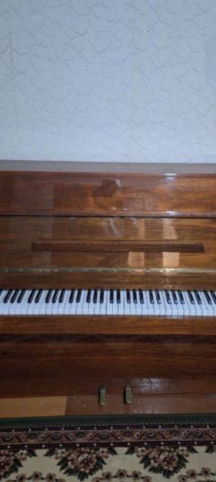 Пиянина рига холати яхши