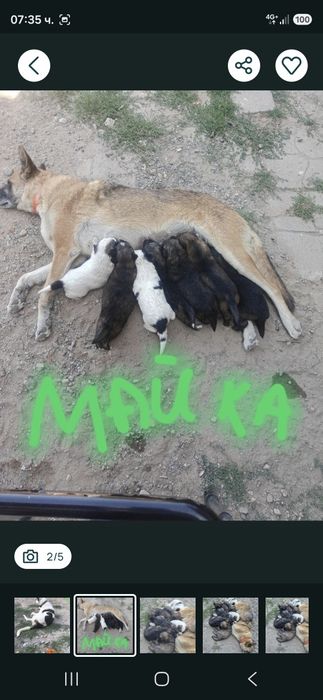 Бащата и майката се виждат на снимките